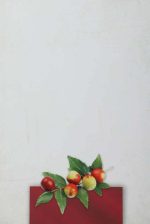 ⁦من رمى شجرة السدر⁩ - الصورة ⁦2⁩